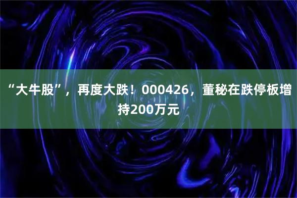 “大牛股”，再度大跌！000426，董秘在跌停板增持200万元