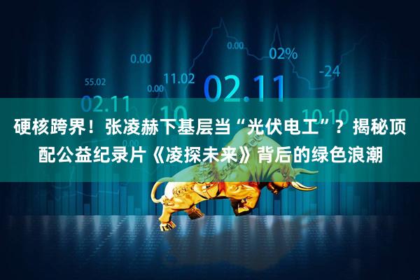 硬核跨界！张凌赫下基层当“光伏电工”？揭秘顶配公益纪录片《凌探未来》背后的绿色浪潮